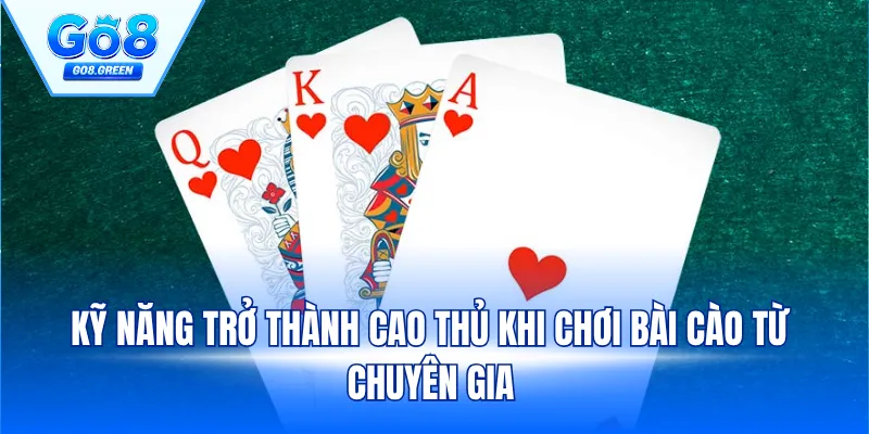 Kỹ năng trở thành cao thủ khi chơi bài Cào từ chuyên gia